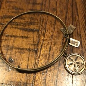 Wind & Fire Gold Sand Dollar Bracelet